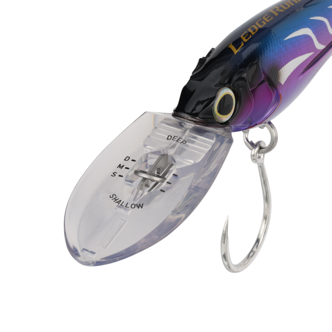BALLYHOOD WAHOO EXPRESS 14OZ - TunaFishTackle